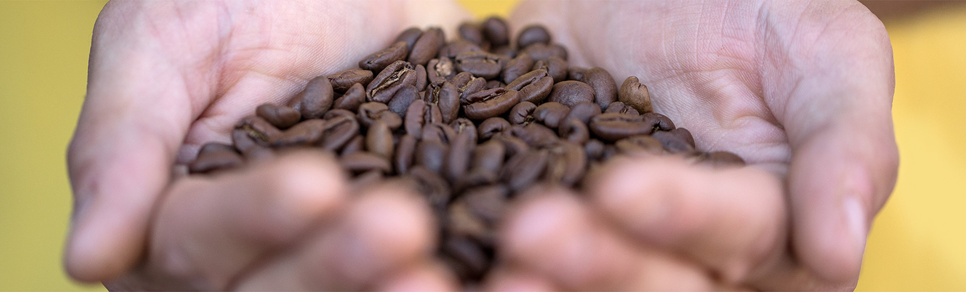 DELTA Q   Behind every Delta Q moment, there’s a long history...